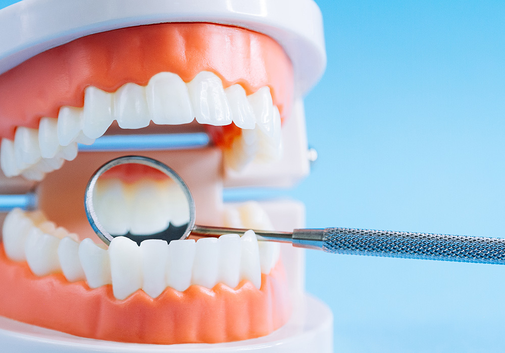 定期検診の内容